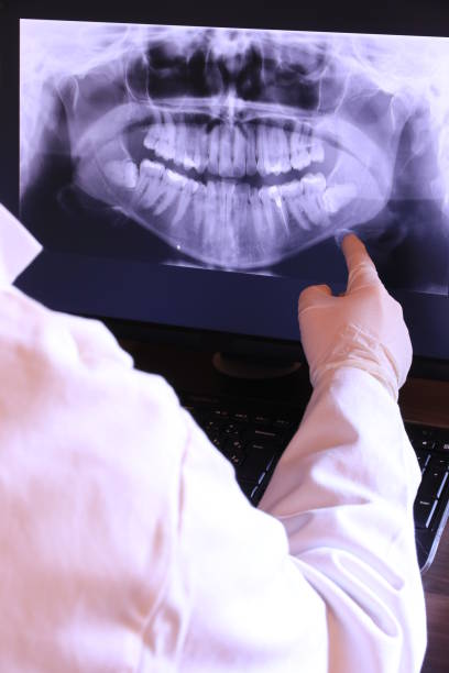 Best Emergency X-Rays and Diagnostics in Orlando, FL